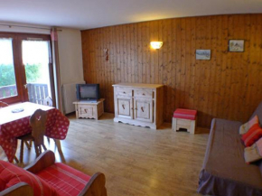 Charmant T2 près de la patinoire de Samoëns - Balcon Sud, Animaux admis - FR-1-629-70